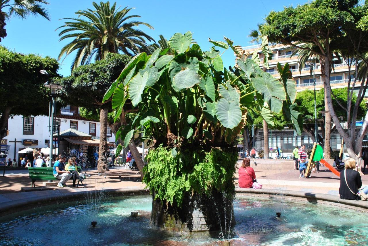 Durazno Tropical Apartment Puerto De La Cruz Eksteriør bilde